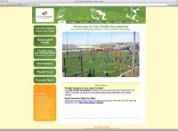 City Fields website from 2009